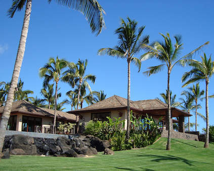 Learn more about Hawaiiana