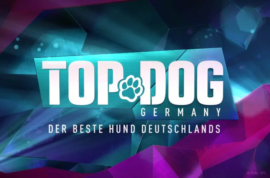 Top Dog Germany RTL Logo