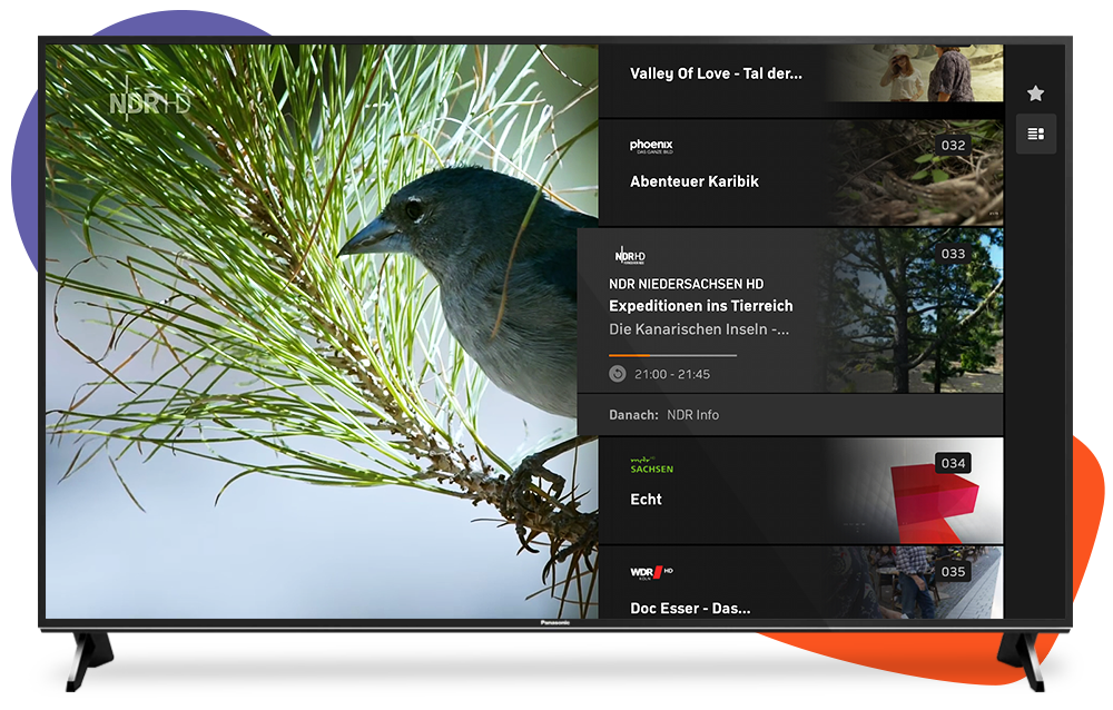 Panasonic Smart TVs