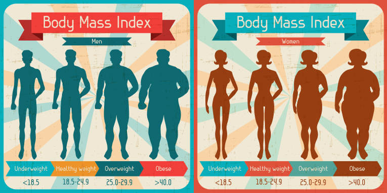 BMI chart for men and women