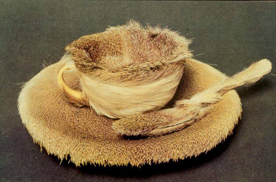 Meret oppenheim object  1936. fur covered cup  saucer  and spoon