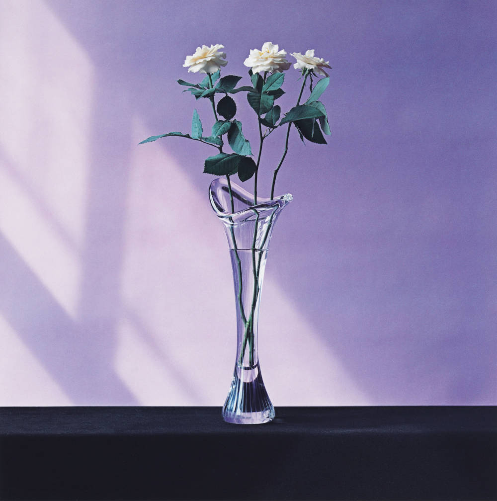  Robert Mapplethorpe , Roses (Inspired by Ikebana), 1982 
