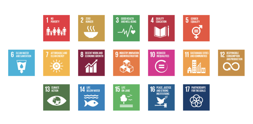  United Nations , The 17 Sustainable Development Goals (SDGs) 