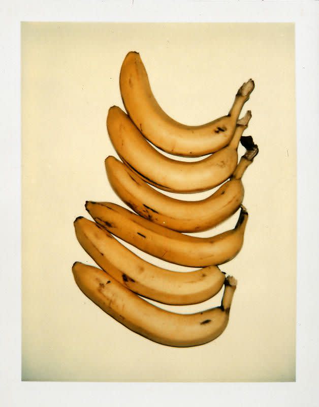 Bananas photo by andy warhol