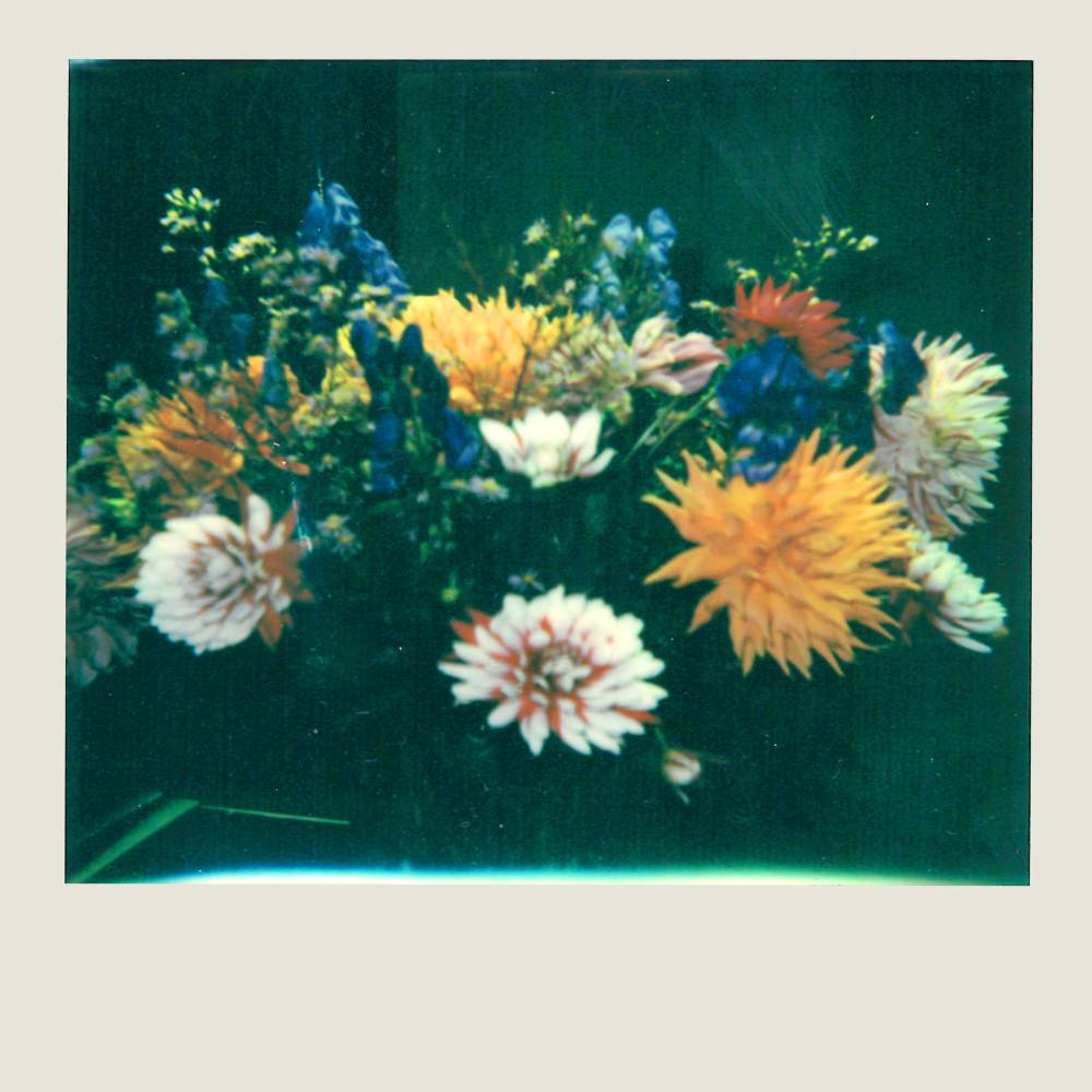  Dries Van Noten , Polaroid of Floral Bouquet  