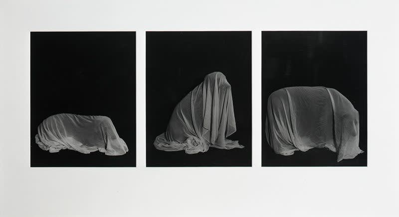  William Wegman , Man Ray Under Sheet, 1976 