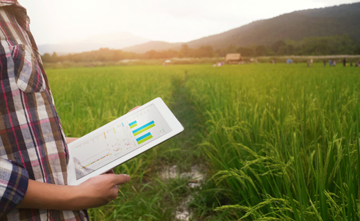 A person looks at insights from Trimble's Data Warehouse on a tablet while standing in a field.