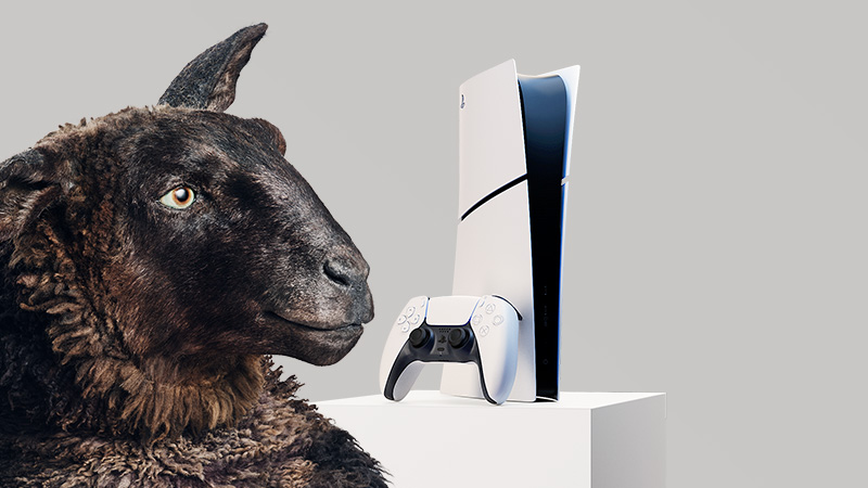 Ett svart får tittar på en vit PlayStation 5-konsol och handkontroll placerade på ett vitt podium.