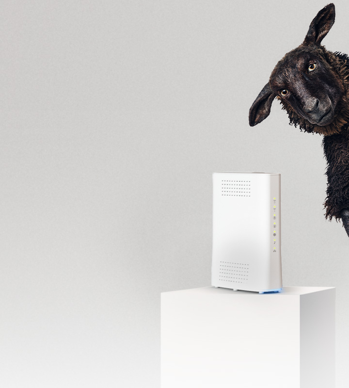 Ett svart får tittar på en vit router vit podium.
