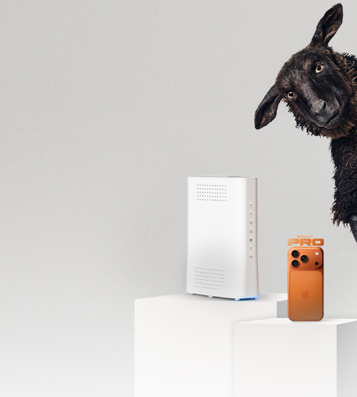 Ett svart får tittar på en vit router och en orange iPhone 17 Pro placerade på vita podier.