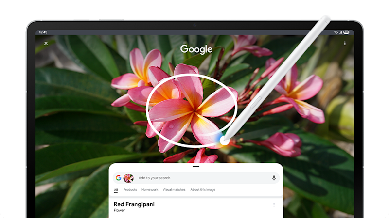 En surfplatta visar Google Lens som identifierar en röd frangipaniblomma med rosa och gula kronblad mot gröna blad.