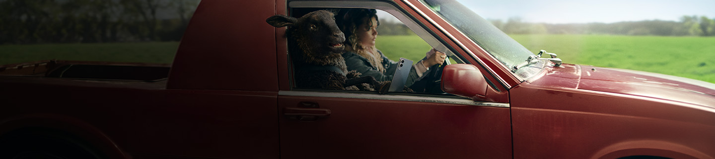 Ett svart får sitter i en röd pickup bredvid en kvinna som kör, med gröna fält i bakgrunden.