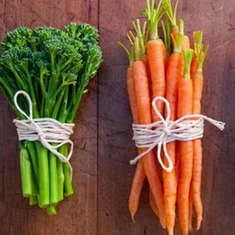 TYPES OF FIBRE: SOLUBLE VS. INSOLUBLE