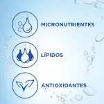 Poster con 3 iconos "micronutrientes, lipidos y antioxidantes" sumergidos en agua