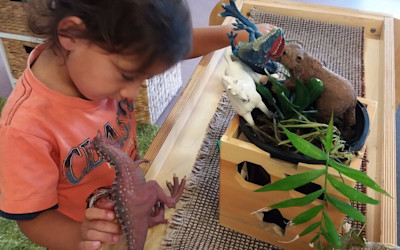 Photo of BestStart Onehunga