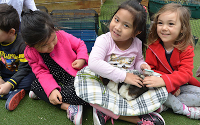 Photo of Lollipops Newton Road