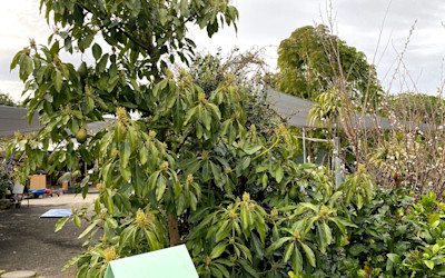 Photo of Milford Kindergarten