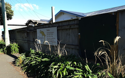 Photo of Tuatara Kids Tuakana