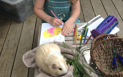 Photo of Glendowie Montessori Preschool