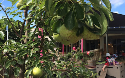 Photo of Nurture Early Learning Centre