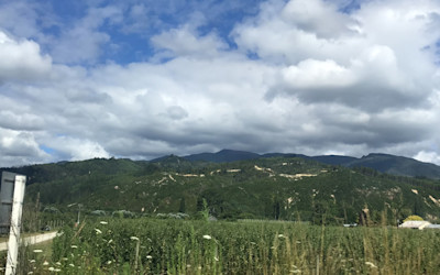 Photo of The Cathedral Grammar School Pre-School