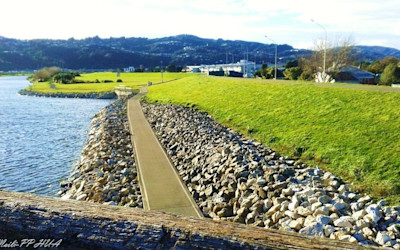 Photo of Moera Kindergarten