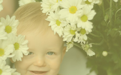 Photo of Daisies Early Education & Care Centre