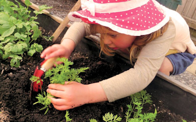 Photo of Bear Park Early Childhood Centre