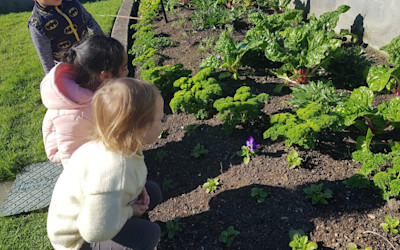 Photo of Conifer Grove Kindergarten