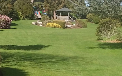 Photo of Nature's Wonder