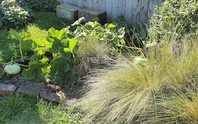 Photo of Te Kohanga Reo o Ngahauranga