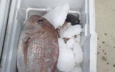 Photo of Ahipara Sandhoppers Early Childhood