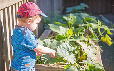 Photo of Buttercups Early Learning Centre