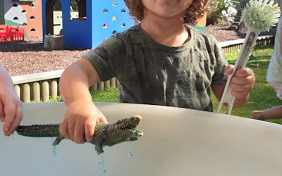 Photo of BestStart Waikite Valley Kindy