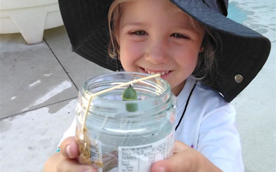 Photo of BestStart Kaiwharawhara