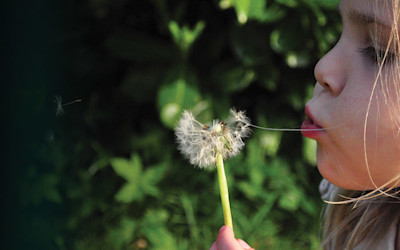 Photo of Piccolo Preschool