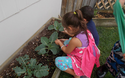 Photo of Glenview Kindy