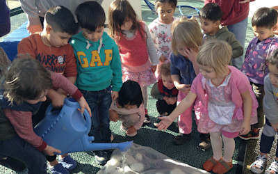 Photo of New Lynn Kindergarten