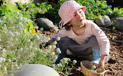 Photo of Little Earth Montessori Kapiti