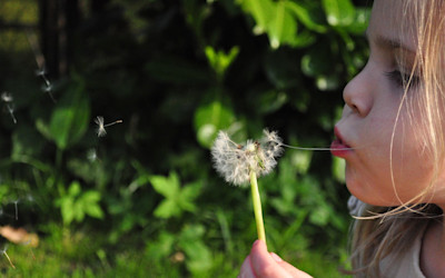 Photo of Royals Early Learning Centre