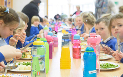 Photo of Pohutukawa Kidz