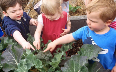 Photo of Bear Park - St Clair