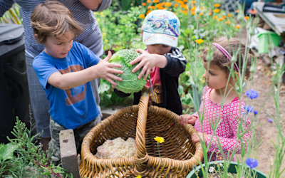 Photo of Otumoetai Free Kindergarten