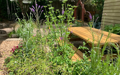 Photo of Steiner Cottage