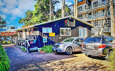 Photo of Ponsonby Montessori Kindergarten