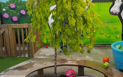 Photo of BestStart Totara Street