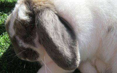 Photo of Flying Start Kindergarten