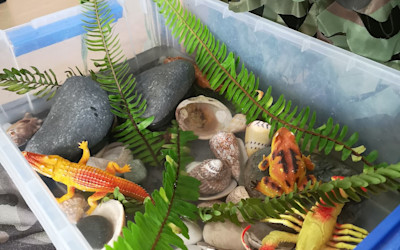 Photo of Palms Preschool