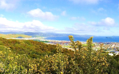 Photo of Maungaraki Playcentre