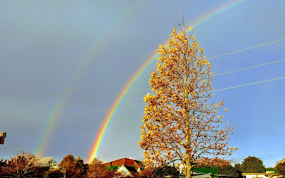 Photo of Kristin School Kindergarten